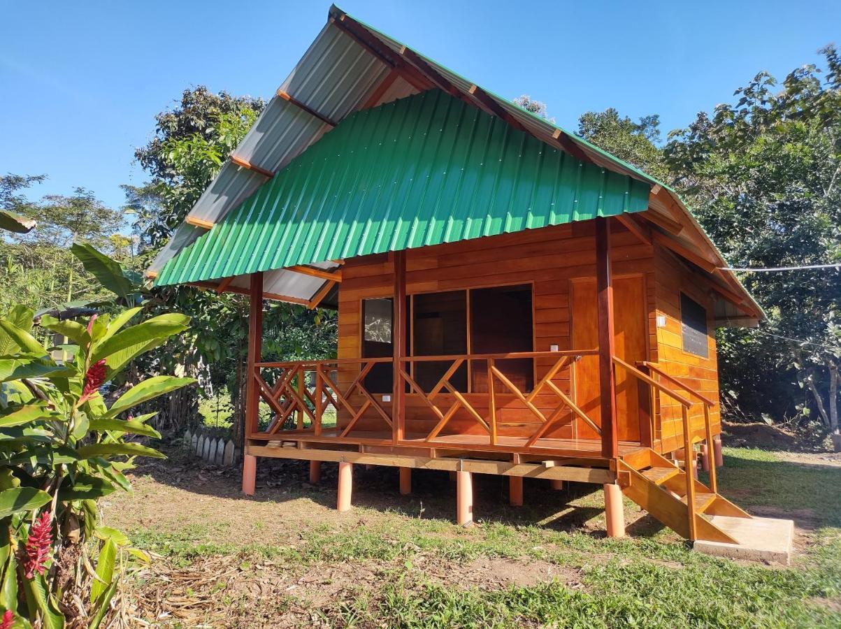 פוארטו מלדונדו Quirquincho House Lodge מראה חיצוני תמונה