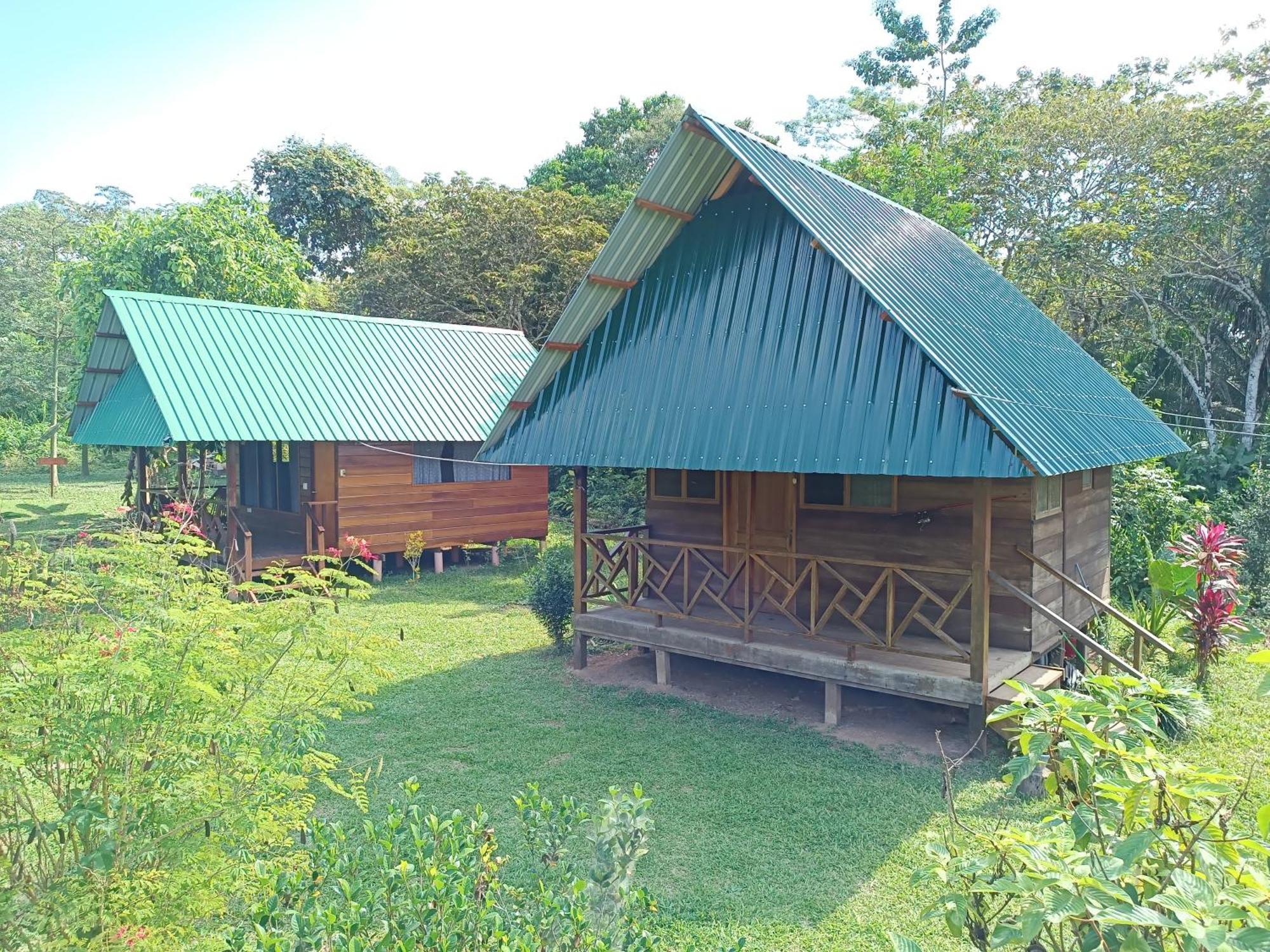 פוארטו מלדונדו Quirquincho House Lodge מראה חיצוני תמונה