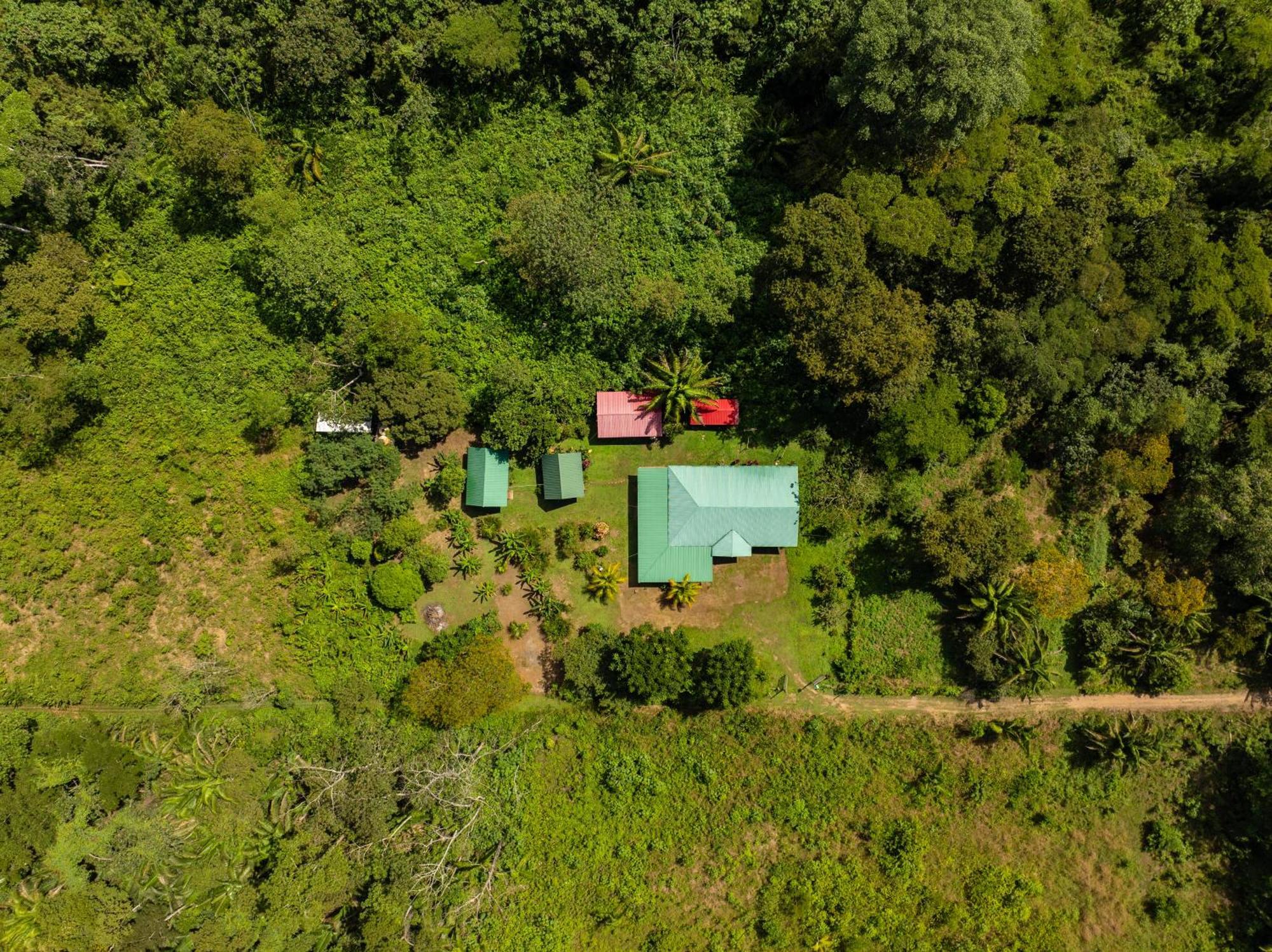 פוארטו מלדונדו Quirquincho House Lodge מראה חיצוני תמונה